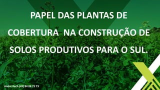 PAPEL DAS PLANTAS DE
COBERTURA NA CONSTRUÇÃO DE
SOLOS PRODUTIVOS PARA O SUL.
André Rech (49) 84 08 75 73
 