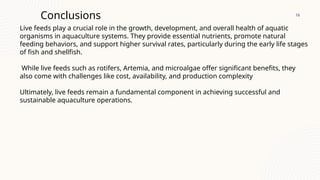 Fish Production Conclusion Live feed in aquaculture.pptx............ | PPTX