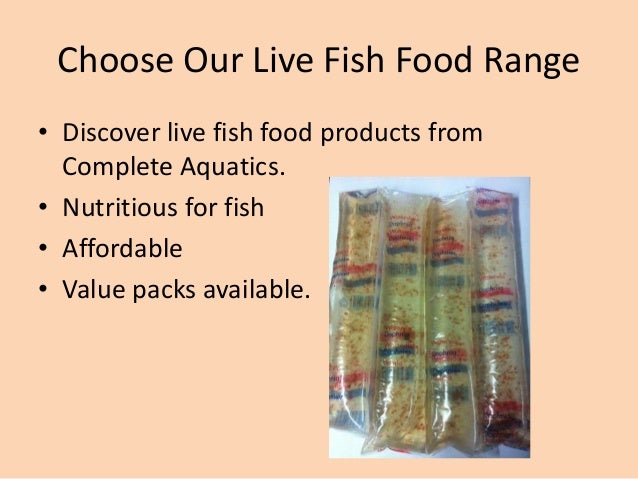 live-fish-food