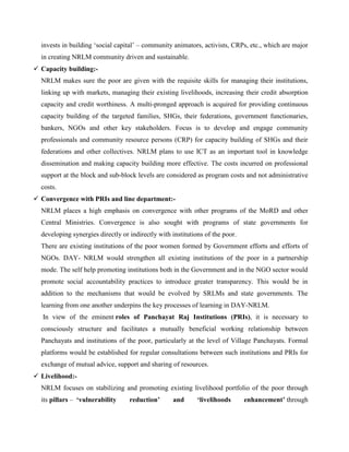 NRLM livelihood promotion strategy