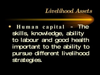 Livelihood Assets Human capital   -  The skills, knowledge, ability to labour and good health important to the ability to pursue different livelihood strategies. 