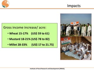 Impacts

Gross income increase/ acre:
• Wheat 15-17% (US$ 59 to 61)
• Mustard 18-21% (US$ 78 to 82)

• Millet 28-33%

(US$ 17 to 21.75)

Institute of Rural Research and Development (IRRAD)

 