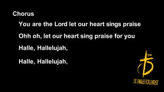 Chorus
You are the Lord let our heart sings praise
Ohh oh, let our heart sing praise for you
Halle, Hallelujah,
Halle, Hallelujah,
 