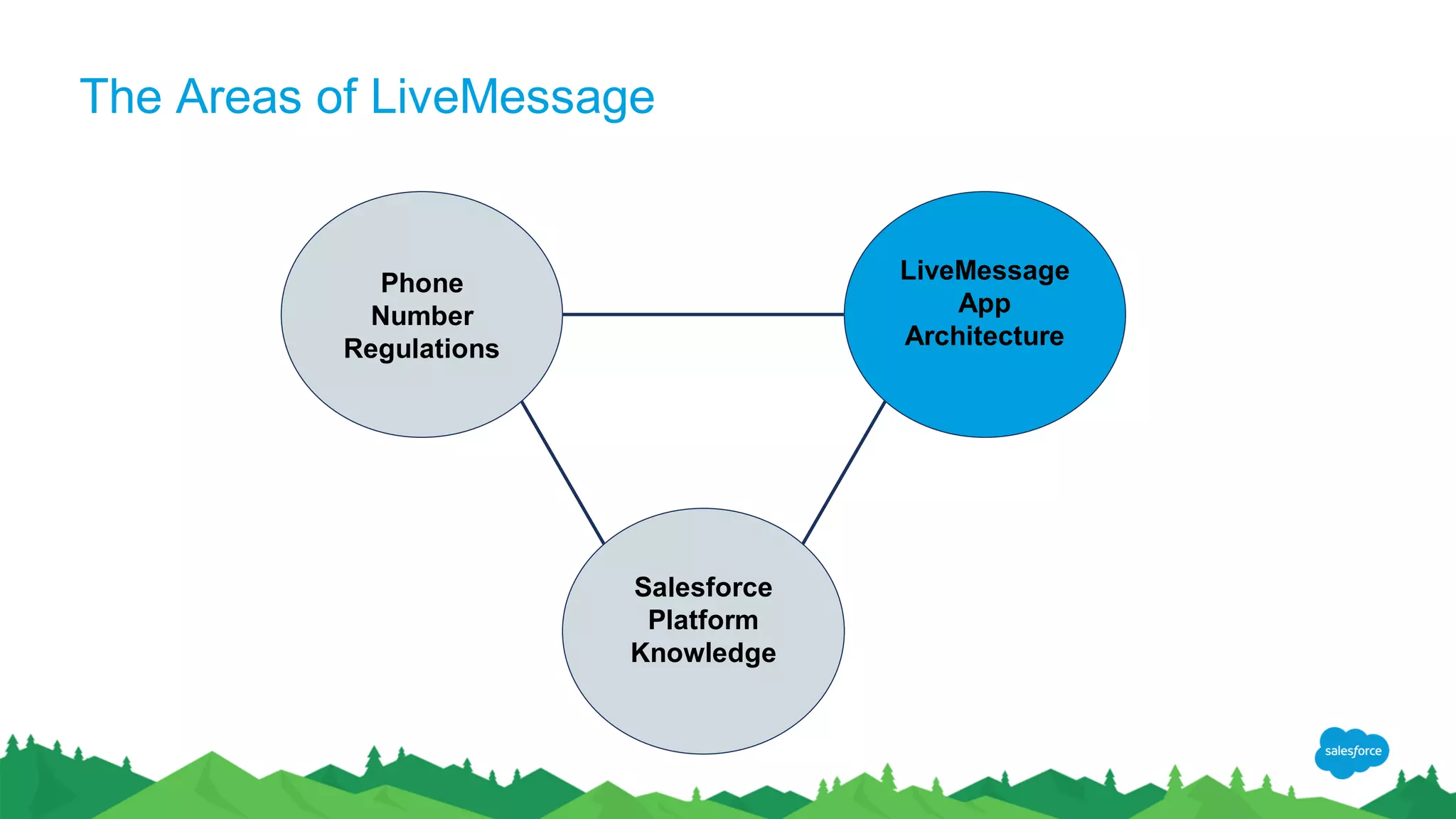 The Areas of LiveMessage
Phone
Number
Regulations
LiveMessage
App
Architecture
Salesforce
Platform
Knowledge
 
