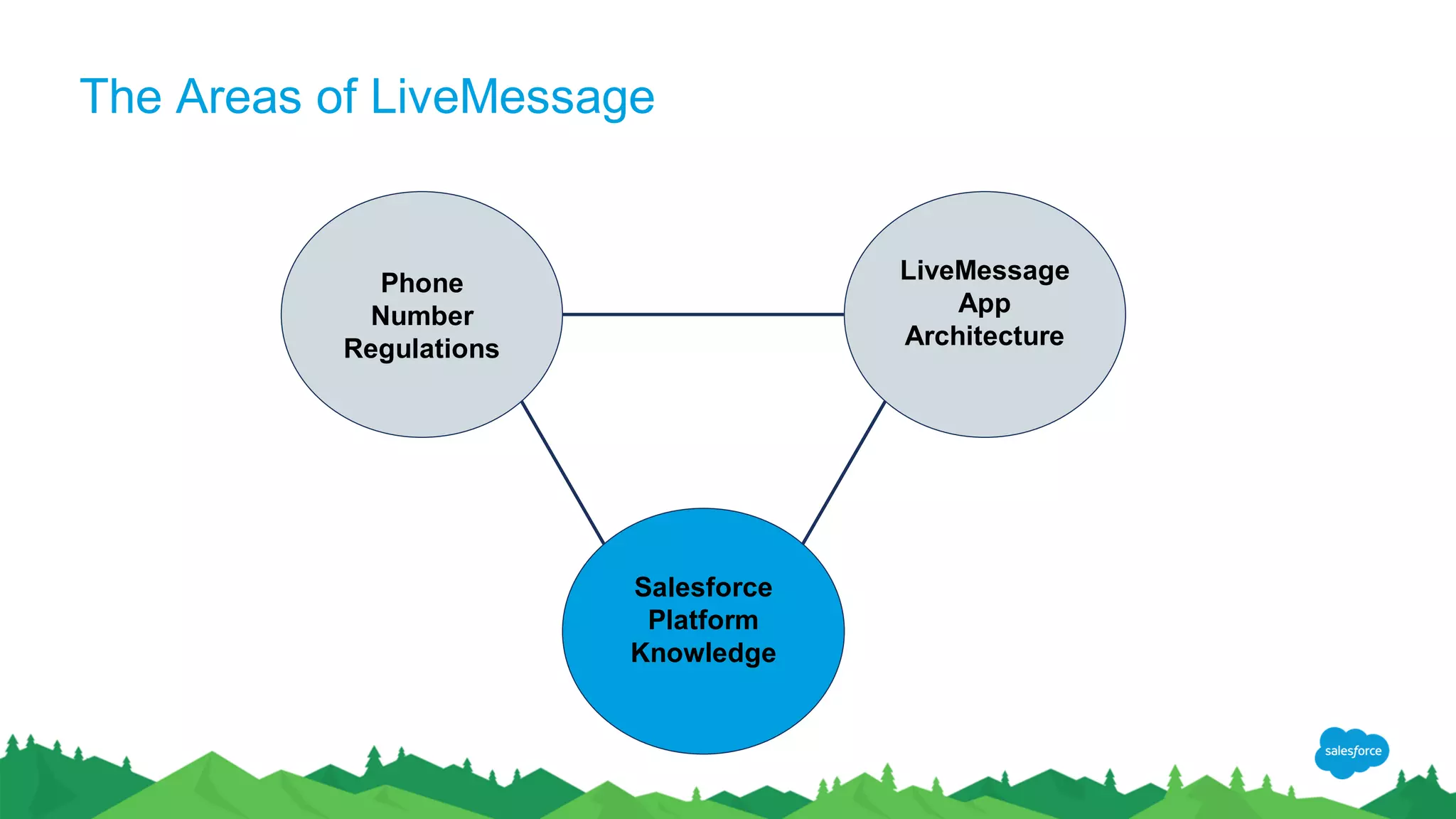 The Areas of LiveMessage
Phone
Number
Regulations
LiveMessage
App
Architecture
Salesforce
Platform
Knowledge
 