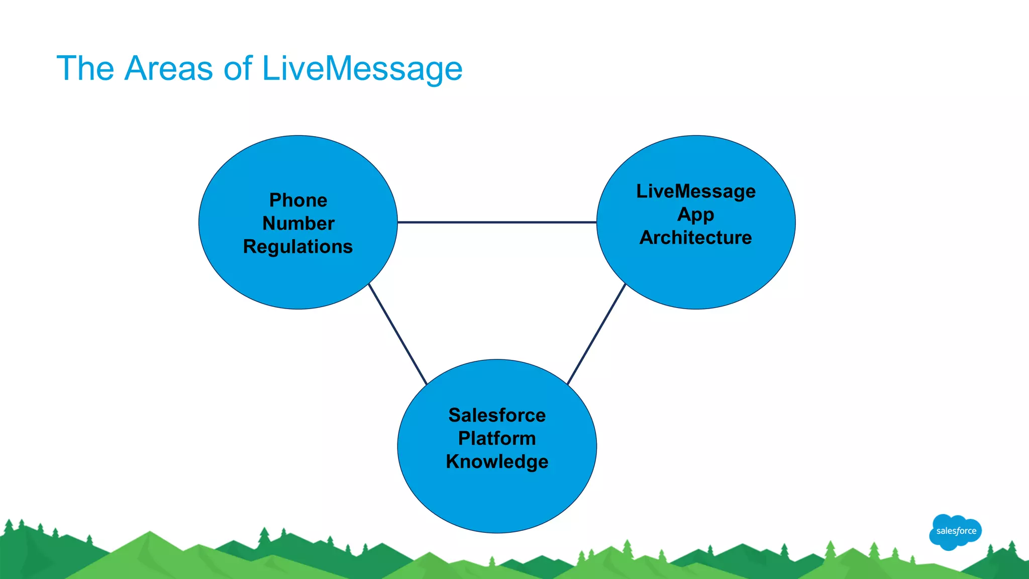 The Areas of LiveMessage
Phone
Number
Regulations
LiveMessage
App
Architecture
Salesforce
Platform
Knowledge
 