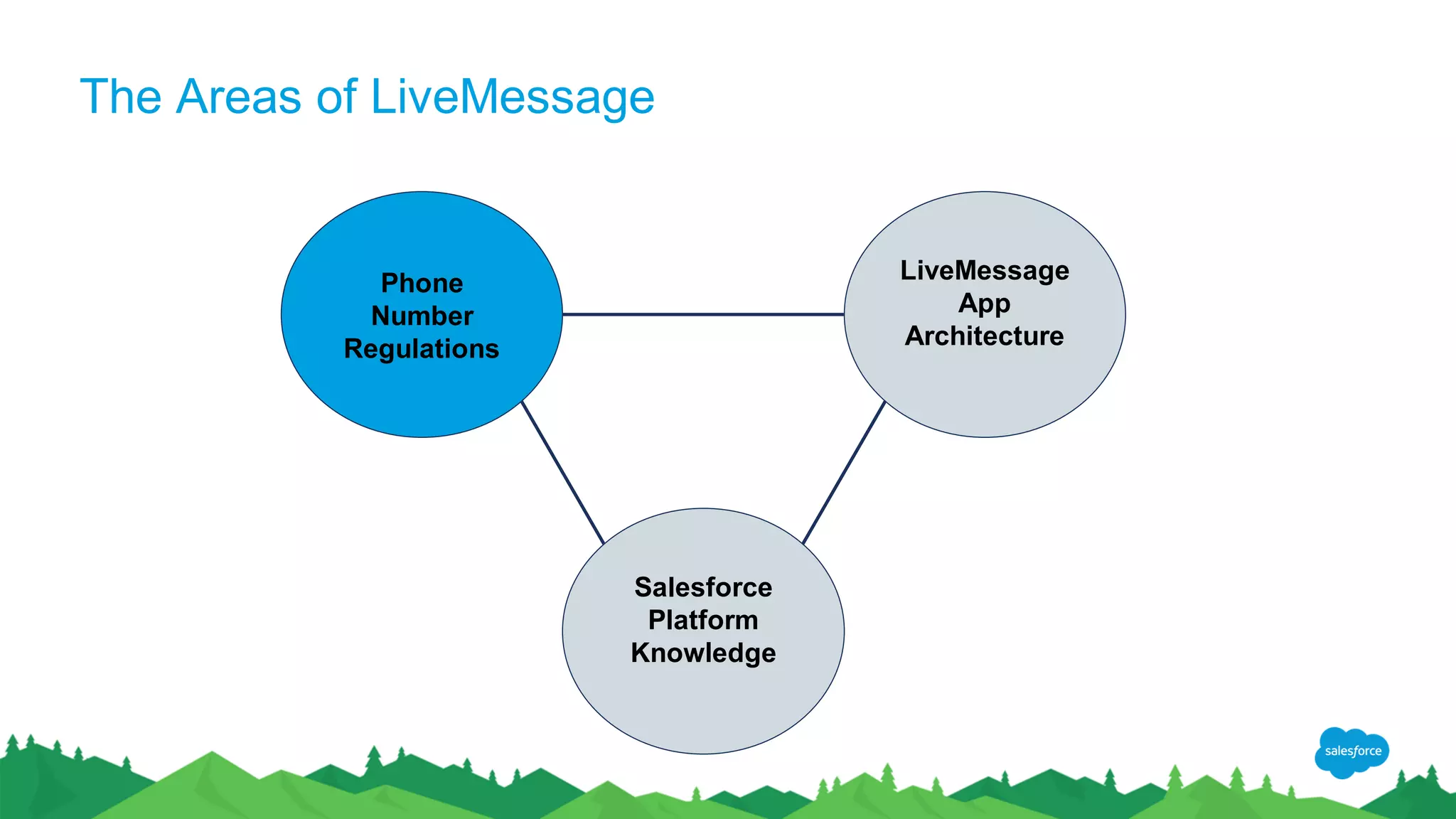 The Areas of LiveMessage
Phone
Number
Regulations
LiveMessage
App
Architecture
Salesforce
Platform
Knowledge
 