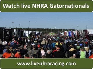 Watch live NHRA Gatornationals
www.livenhraracing.com
 