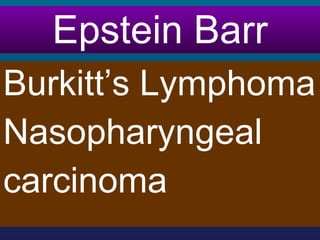 Epstein Barr <ul><li>Burkitt’s Lymphoma </li></ul><ul><li>Nasopharyngeal </li></ul><ul><li>carcinoma </li></ul>