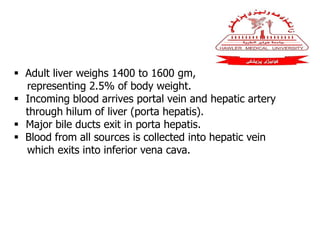 Adult liver weighs 1400 to 1600 gm,
representing 2.5% of body weight.
 Incoming blood arrives portal vein and hepatic artery
through hilum of liver (porta hepatis).
 Major bile ducts exit in porta hepatis.
 Blood from all sources is collected into hepatic vein
which exits into inferior vena cava.
 