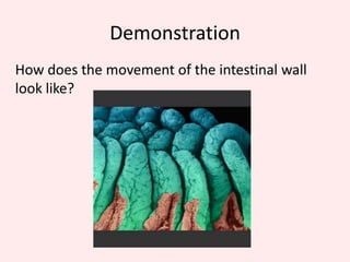 What happens in our Stomach?What happens in the Stomach?Peristalsis occurs in the stomachPeristalsis- Wave like contraction of the walls of the gut to move food down from mouth to stomach