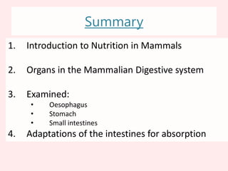 Numerous capillaries to maintain concentration gradientMany capillaries carry substance awayEach villus has a lacteal/lymphatic capillary surrounded by blood capillaries. Continuous transport of digested food substances awayAdaptation of the small intestines