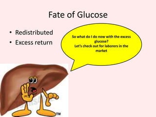 Today’s GuestMr. Liver