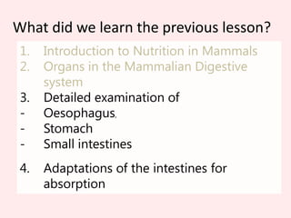 What did we learn the previous lesson?Introduction to Nutrition in MammalsOrgans in the Mammalian Digestive systemDetailed examination of Oesophagus,