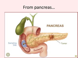 Liver Boss, I’m done with absorbing all the nutrients. My villus is rich. What do I do with them now?Good job! You’re done with all the goodies? Pass them to me and I’ll re-distribute!