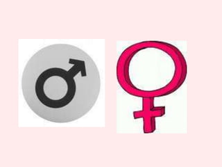 But you’re quite a distance away,Can I send them to you by air mail? Huh? What is air-mail?There are no planes around the area. You need to ship the ‘goodies’ to me