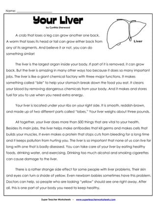 Name: _______________________


                 Your Liver
                          by Cynthia Sherwood


      A crab that loses a leg can grow another one back.
A worm that loses its head or tail can grow either back from
any of its segments. And believe it or not, you can do
something similar!


      The liver is the largest organ inside your body. If part of it is removed, it can grow
back. But the liver is amazing in many other ways too because it does so many important
jobs. The liver is like a giant chemical factory with three major functions. It makes
something called “bile” to help your stomach break down the food you eat. It cleans
your blood by removing dangerous chemicals from your body. And it makes and stores
fuel for you to use when you need extra energy.


      Your liver is located under your ribs on your right side. It is smooth, reddish-brown,
and made up of two different parts called “lobes.” Your liver weighs about three pounds.


      All together, your liver does more than 500 things that are vital to your health.
Besides its main jobs, the liver helps make antibodies that kill germs and makes cells that
builds your muscles. It even makes a protein that stops cuts from bleeding for a long time
and it keeps pollution from hurting you. The liver is so important that none of us can live for
long with one that is badly diseased. You can take care of your liver by eating healthy
foods, drinking water, and exercising. Drinking too much alcohol and smoking cigarettes
can cause damage to the liver.


      There is a rather strange side effect for some people with liver problems. Their skin
and eyes can turn a shade of yellow. Even newborn babies sometimes have this problem.
Doctors can help, so people who are looking “yellow” should see one right away. After
all, this is one part of your body you need to keep healthy.


                       Super Teacher Worksheets -   www.superteacherworksheets.com
 