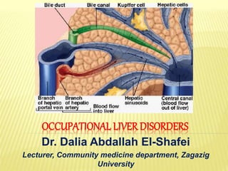 OCCUPATIONAL LIVER DISORDERS
Dr. Dalia Abdallah El-Shafei
Lecturer, Community medicine department, Zagazig
University
 