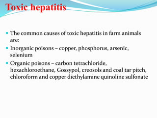 Toxic hepatitis
 The common causes of toxic hepatitis in farm animals
are:
 Inorganic poisons – copper, phosphorus, arsenic,
selenium
 Organic poisons – carbon tetrachloride,
hexachloroethane, Gossypol, creosols and coal tar pitch,
chloroform and copper diethylamine quinoline sulfonate
 