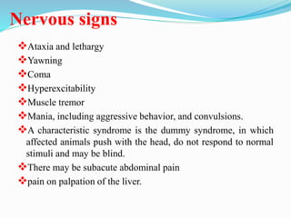 Nervous signs
Ataxia and lethargy
Yawning
Coma
Hyperexcitability
Muscle tremor
Mania, including aggressive behavior, and convulsions.
A characteristic syndrome is the dummy syndrome, in which
affected animals push with the head, do not respond to normal
stimuli and may be blind.
There may be subacute abdominal pain
pain on palpation of the liver.
 