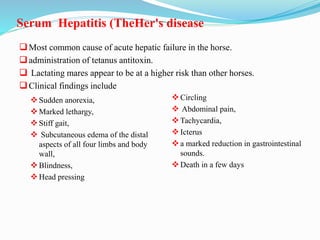 Most common cause of acute hepatic failure in the horse.
administration of tetanus antitoxin.
 Lactating mares appear to be at a higher risk than other horses.
Clinical findings include
Serum Hepatitis (TheHer's disease
Sudden anorexia,
Marked lethargy,
Stiff gait,
 Subcutaneous edema of the distal
aspects of all four limbs and body
wall,
Blindness,
Head pressing
Circling
 Abdominal pain,
Tachycardia,
Icterus
a marked reduction in gastrointestinal
sounds.
Death in a few days
 