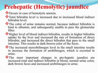 Prehepatic (Hemolytic) jaundice
Occurs in case of hemolytic anemia.
Total bilirubin level is increased due to increased blood indirect
bilirubin level.
The color of urine remains normal, because indirect bilirubin is
bind to albumin, and subsequently unable to pass the glomerular
filter.
Higher level of blood indirect bilirubin, results in higher bilirubin
uptake by the liver and increased the rate of formation of direct
bilirubin, and increased the direct bilirubin that pass to the small
intestine. This results in dark brown color of the feces.
The increased stercobilinogen level in the small intestine results
in increase the formation of urobilinogen, which is excreted in
urine.
The most important changes in pre-hepatic jaundice are
increased total and indirect bilirubin in blood, normal urine color,
dark brown feces and increased urobilinogen in urine.
 