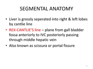 SEGMENTAL ANATOMY
• Liver is grossly seperated into right & left lobes
by cantlie line
• REX-CANTLIE’S line – plane from gall bladder
fossa anteriorly to IVC posteriorly passing
through middle hepatic vein
• Also known as scissura or portal fissure
11
 