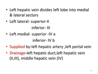 • Left hepatic vein divides left lobe into medial
& lateral sectors
• Left lateral- superior-II
inferior- III
• Left medial- superior -IV a
inferior- IV b
• Supplied by-left hepatic artery ,left portal vein
• Drainage-left hepatic duct,left hepatic vein
(II,III), middle hepatic vein (IV)
14
 