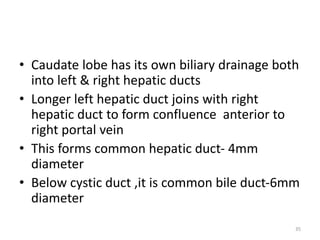 • Caudate lobe has its own biliary drainage both
into left & right hepatic ducts
• Longer left hepatic duct joins with right
hepatic duct to form confluence anterior to
right portal vein
• This forms common hepatic duct- 4mm
diameter
• Below cystic duct ,it is common bile duct-6mm
diameter
35
 