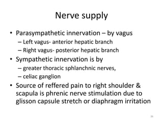 Nerve supply
• Parasympathetic innervation – by vagus
– Left vagus- anterior hepatic branch
– Right vagus- posterior hepatic branch
• Sympathetic innervation is by
– greater thoracic sphlanchnic nerves,
– celiac ganglion
• Source of reffered pain to right shoulder &
scapula is phrenic nerve stimulation due to
glisson capsule stretch or diaphragm irritation
36
 