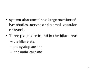 • system also contains a large number of
lymphatics, nerves and a small vascular
network.
• Three plates are found in the hilar area:
– the hilar plate,
– the cystic plate and
– the umbilical plate.
39
 