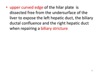 • upper curved edge of the hilar plate is
dissected free from the undersurface of the
liver to expose the left hepatic duct, the biliary
ductal confluence and the right hepatic duct
when repairing a biliary stricture
42
 