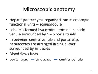 Microscopic anatomy
• Hepatic parenchyma organised into microscopic
functional units – acinus/lobule
• Lobule is formed bya central terminal hepatic
venule surrounded by 4 – 6 portal traids
• In between central venule and portal triad
hepatocytes are arranged in single layer
surrounded by sinusoids
• Blood flows from
• portal triad sinusoids central venule
44
 