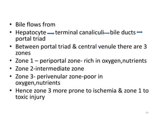 • Bile flows from
• Hepatocyte terminal canaliculi bile ducts
portal triad
• Between portal triad & central venule there are 3
zones
• Zone 1 – periportal zone- rich in oxygen,nutrients
• Zone 2-intermediate zone
• Zone 3- perivenular zone-poor in
oxygen,nutrients
• Hence zone 3 more prone to ischemia & zone 1 to
toxic injury
45
 
