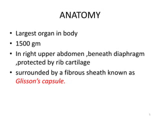 ANATOMY
• Largest organ in body
• 1500 gm
• In right upper abdomen ,beneath diaphragm
,protected by rib cartilage
• surrounded by a fibrous sheath known as
Glisson’s capsule.
5
 