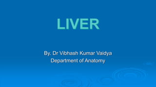 By. Dr Vibhash Kumar Vaidya
Department of Anatomy
 