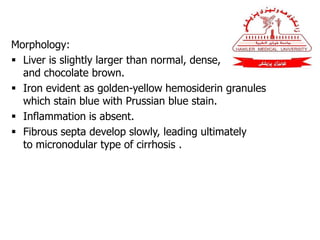 Morphology:
 Liver is slightly larger than normal, dense,
and chocolate brown.
 Iron evident as golden-yellow hemosiderin granules
which stain blue with Prussian blue stain.
 Inflammation is absent.
 Fibrous septa develop slowly, leading ultimately
to micronodular type of cirrhosis .
 