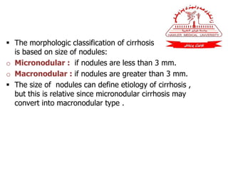  The morphologic classification of cirrhosis
is based on size of nodules:
o Micronodular : if nodules are less than 3 mm.
o Macronodular : if nodules are greater than 3 mm.
 The size of nodules can define etiology of cirrhosis ,
but this is relative since micronodular cirrhosis may
convert into macronodular type .
 