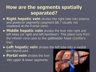 Segment Inferior liver.ppt