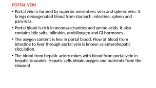 PORTAL VEIN
• Portal vein is formed by superior mesenteric vein and splenic vein. It
brings deoxygenated blood from stomach, intestine, spleen and
pancreas.
• Portal blood is rich in monosaccharides and amino acids. It also
contains bile salts, bilirubin, urobilinogen and GI hormones.
• The oxygen content is less in portal blood. Flow of blood from
intestine to liver through portal vein is known as enterohepatic
circulation.
• The blood from hepatic artery mixes with blood from portal vein in
hepatic sinusoids. Hepatic cells obtain oxygen and nutrients from the
sinusoid
 