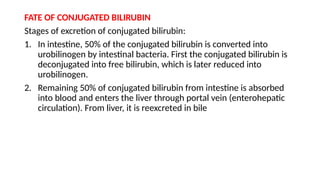 FATE OF CONJUGATED BILIRUBIN
Stages of excretion of conjugated bilirubin:
1. In intestine, 50% of the conjugated bilirubin is converted into
urobilinogen by intestinal bacteria. First the conjugated bilirubin is
deconjugated into free bilirubin, which is later reduced into
urobilinogen.
2. Remaining 50% of conjugated bilirubin from intestine is absorbed
into blood and enters the liver through portal vein (enterohepatic
circulation). From liver, it is re­
excreted in bile
 