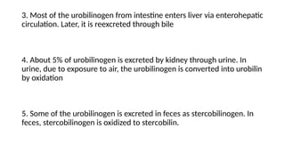 3. Most of the urobilinogen from intestine enters liver via enterohepatic
circulation. Later, it is re­
excreted through bile
4. About 5% of urobilinogen is excreted by kidney through urine. In
urine, due to exposure to air, the urobilinogen is converted into urobilin
by oxidation
5. Some of the urobilinogen is excreted in feces as stercobilinogen. In
feces, stercobilinogen is oxidized to stercobilin.
 