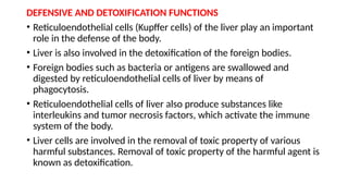 DEFENSIVE AND DETOXIFICATION FUNCTIONS
• Reticuloendothelial cells (Kupffer cells) of the liver play an important
role in the defense of the body.
• Liver is also involved in the detoxification of the foreign bodies.
• Foreign bodies such as bacteria or antigens are swallowed and
digested by reticuloendothelial cells of liver by means of
phagocytosis.
• Reticuloendothelial cells of liver also produce substances like
interleukins and tumor necrosis factors, which activate the immune
system of the body.
• Liver cells are involved in the removal of toxic property of various
harmful substances. Removal of toxic property of the harmful agent is
known as detoxification.
 
