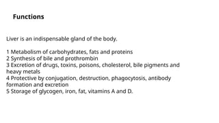 Liver.... introduction, feature, clinical anatomy | PPTX
