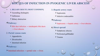 Comprehensive Study of Liver Anatomy, Liver Abscess, Hepatic Disorders ...