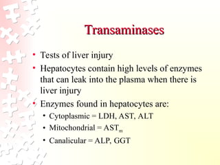 Comprehensive Overview of Liver Function and Diagnostic Tests | PPT