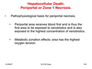 Hepatocellular Death:
               Periportal or Zone 1 Necrosis.

•       Pathophysiological basis for periportal necrosis.

    •      Periportal area receives blood first and is thus the
           first area to be exposed to xenobiotics and is also
           exposed to the highest concentration of xenobiotics.

    •      Metabolic zonation effects: area has the highest
           oxygen tension.




01/05/07                      Dr R B Cope                     103
 