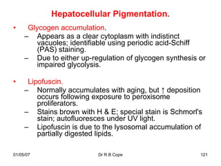 Hepatocellular Pigmentation.
•     Glycogen accumulation.
     – Appears as a clear cytoplasm with indistinct
        vacuoles; identifiable using periodic acid-Schiff
        (PAS) staining.
     – Due to either up-regulation of glycogen synthesis or
        impaired glycolysis.

•     Lipofuscin.
     – Normally accumulates with aging, but ↑ deposition
         occurs following exposure to peroxisome
         proliferators.
     – Stains brown with H & E; special stain is Schmorl's
         stain; autofluoresces under UV light.
     – Lipofuscin is due to the lysosomal accumulation of
         partially digested lipids.

01/05/07                   Dr R B Cope                   121
 