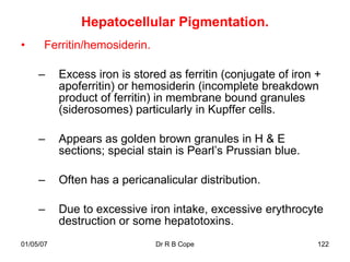 Hepatocellular Pigmentation.
•      Ferritin/hemosiderin.

     –     Excess iron is stored as ferritin (conjugate of iron +
           apoferritin) or hemosiderin (incomplete breakdown
           product of ferritin) in membrane bound granules
           (siderosomes) particularly in Kupffer cells.

     –     Appears as golden brown granules in H & E
           sections; special stain is Pearl‟s Prussian blue.

     –     Often has a pericanalicular distribution.

     –     Due to excessive iron intake, excessive erythrocyte
           destruction or some hepatotoxins.
01/05/07                       Dr R B Cope                      122
 