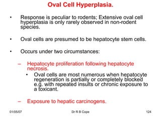 Oval Cell Hyperplasia.
•      Response is peculiar to rodents; Extensive oval cell
       hyperplasia is only rarely observed in non-rodent
       species.

•      Oval cells are presumed to be hepatocyte stem cells.

•      Occurs under two circumstances:

     –      Hepatocyte proliferation following hepatocyte
            necrosis.
           • Oval cells are most numerous when hepatocyte
              regeneration is partially or completely blocked
              e.g. with repeated insults or chronic exposure to
              a toxicant.

     –     Exposure to hepatic carcinogens.
01/05/07                      Dr R B Cope                     124
 